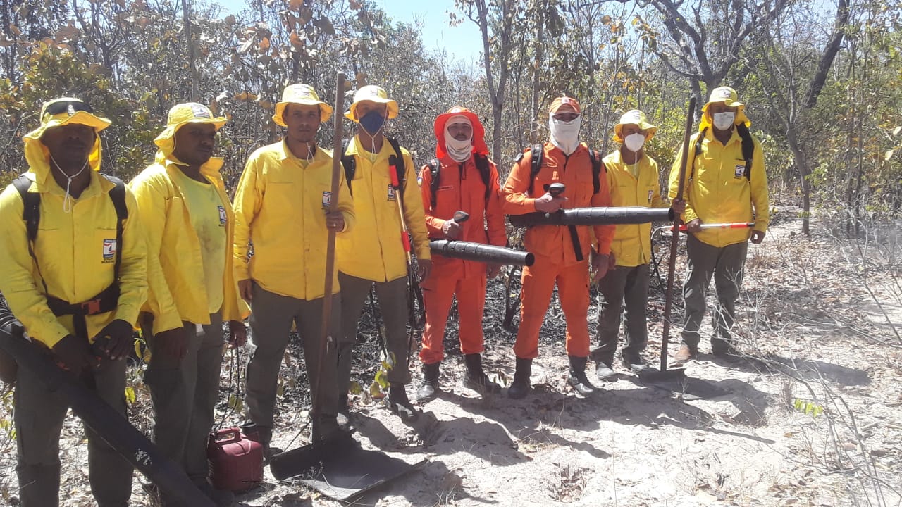 bombeiros-e-brigadistas-combatem-incendios-que-ja-devastaram-milhares-de-hectares-em-parana