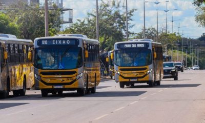 prefeitura-de-palmas-reforca-transporte-coletivo-durante-festival-gastronomico-de-taquarucu