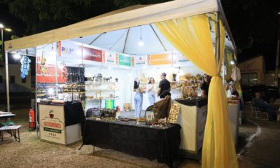 alem-dos-sabores:-19o-fgt-celebra-memoria-viva-da-cultura-local-agradando-o-publico