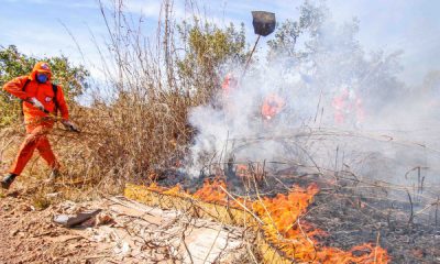 tocantins-participa-de-simulado-nacional-do-sistema-“defesa-civil-alerta”-neste-sabado,-13