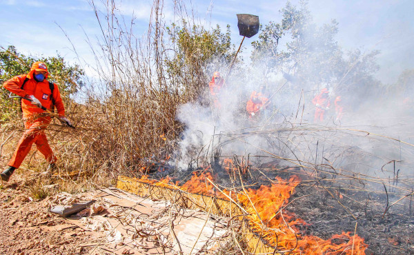 tocantins-participa-de-simulado-nacional-do-sistema-“defesa-civil-alerta”-neste-sabado,-13
