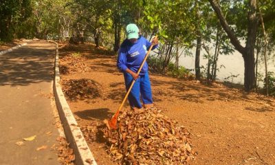 prefeitura-de-palmas-executa-servicos-de-limpeza-e-manutencao-no-parque-cesamar