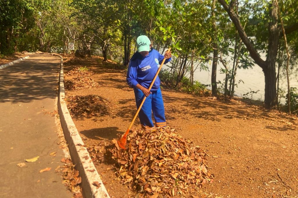 prefeitura-de-palmas-executa-servicos-de-limpeza-e-manutencao-no-parque-cesamar