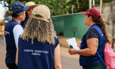 prefeitura-de-palmas-inicia-estudo-para-estimar-populacao-de-caes-e-gatos-no-municipio