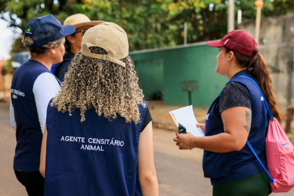 prefeitura-de-palmas-inicia-estudo-para-estimar-populacao-de-caes-e-gatos-no-municipio
