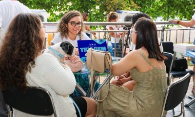 prefeitura-de-palmas-disponibiliza-animais-para-adocao-em-duas-feiras-neste-sabado,-4
