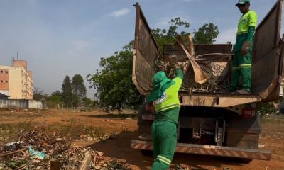 prefeitura-de-palmas-recolhe-cerca-de-19-mil-toneladas-de-galhadas