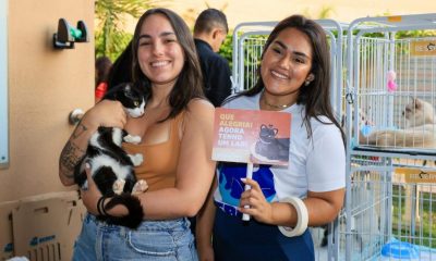 prefeitura-de-palmas-registra-mais-de-160-adocoes-de-animais-em-2025