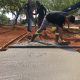 obra-da-nova-praca-da-arne-53-avanca-com-construcao-da-pista-de-caminhada