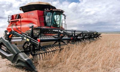 tocantins-e-o-segundo-estado-do-pais-que-mais-deve-crescer-no-setor-agropecuario-em-2025