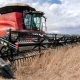 tocantins-e-o-segundo-estado-do-pais-que-mais-deve-crescer-no-setor-agropecuario-em-2025