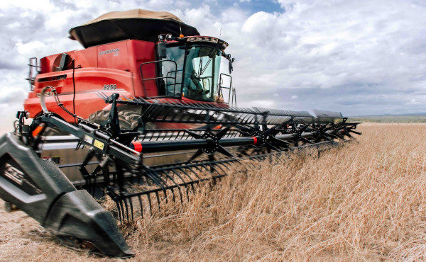 tocantins-e-o-segundo-estado-do-pais-que-mais-deve-crescer-no-setor-agropecuario-em-2025