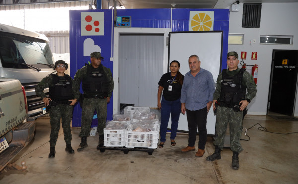 governo-do-tocantins-doa-peixes-apreendidos-em-operacao-ambiental-ao-programa-sesc-mesa-brasil