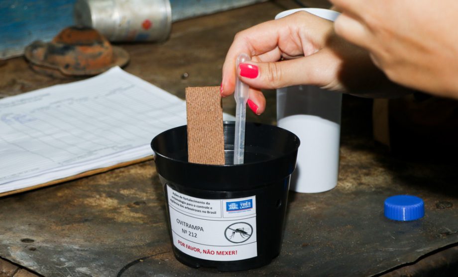 prefeitura-de-porto-nacional-instala-armadilhas-e-mobiliza-populacao-contra-o-aedes-aegypti