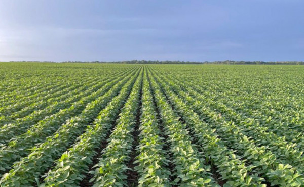 tocantins-inicia-safra-2025/26-com-boas-perspectivas-e-avancos-tecnologicos-no-campo