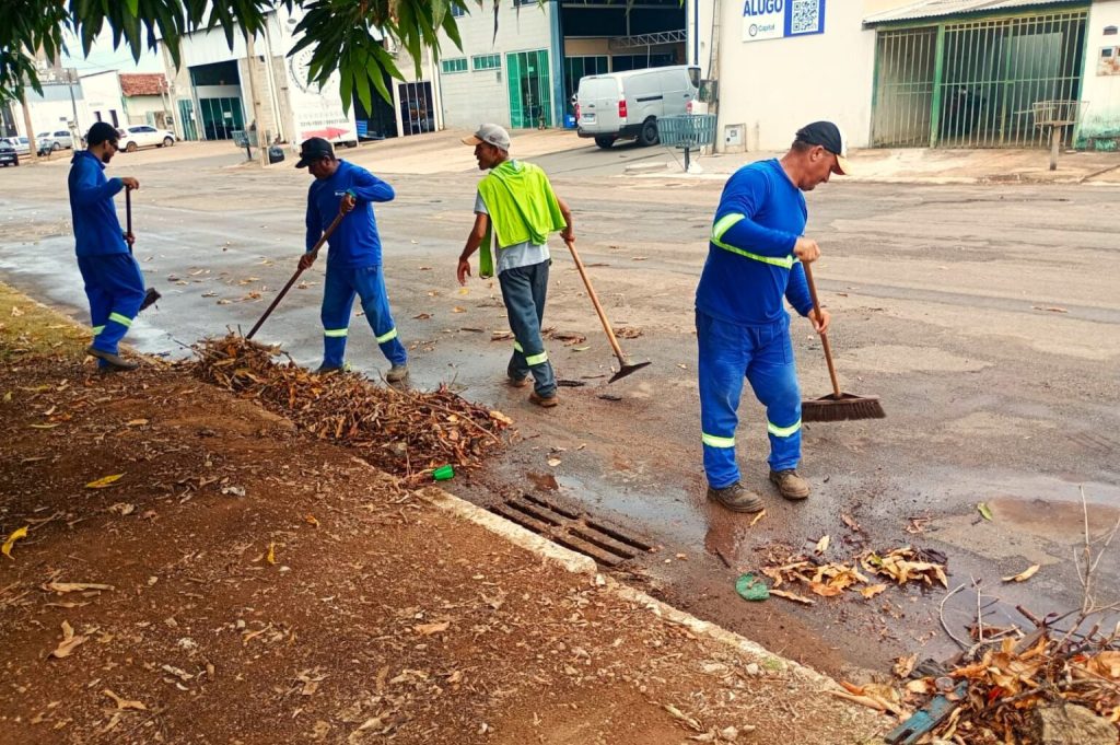 prefeitura-de-palmas-intensifica-limpeza-e-manutencao-em-setores-da-regiao-sul-da-capital