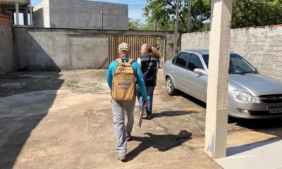 mesmo-com-queda-nos-casos,-tocantins-mantem-alerta-e-intensifica-acoes-contra-a-dengue;-saiba-mais
