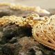 arte-em-ouro-e-prata-do-tocantins-vira-patrimonio-imaterial-e-ganha-reconhecimento-nacional