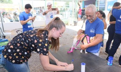 prefeitura-de-palmas-reabre-vagas-para-o-mutirao-de-castracao-do-programa-animal-de-rua-zero
