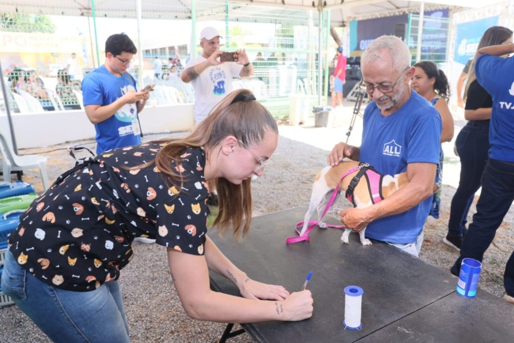 prefeitura-de-palmas-reabre-vagas-para-o-mutirao-de-castracao-do-programa-animal-de-rua-zero