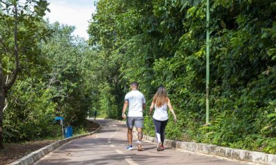 parque-cesamar-fecha-de-segunda,-8,-a-quarta,-10,-para-finalizacao-da-decoracao-natalina