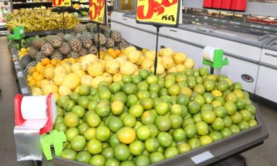 prefeitura-de-palmas-paga-auxilio-alimentacao-neste-sabado,-10