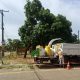 apos-vendaval,-prefeitura-de-palmas-retira-mais-de-250-toneladas-de-galhadas-do-jardim-taquari