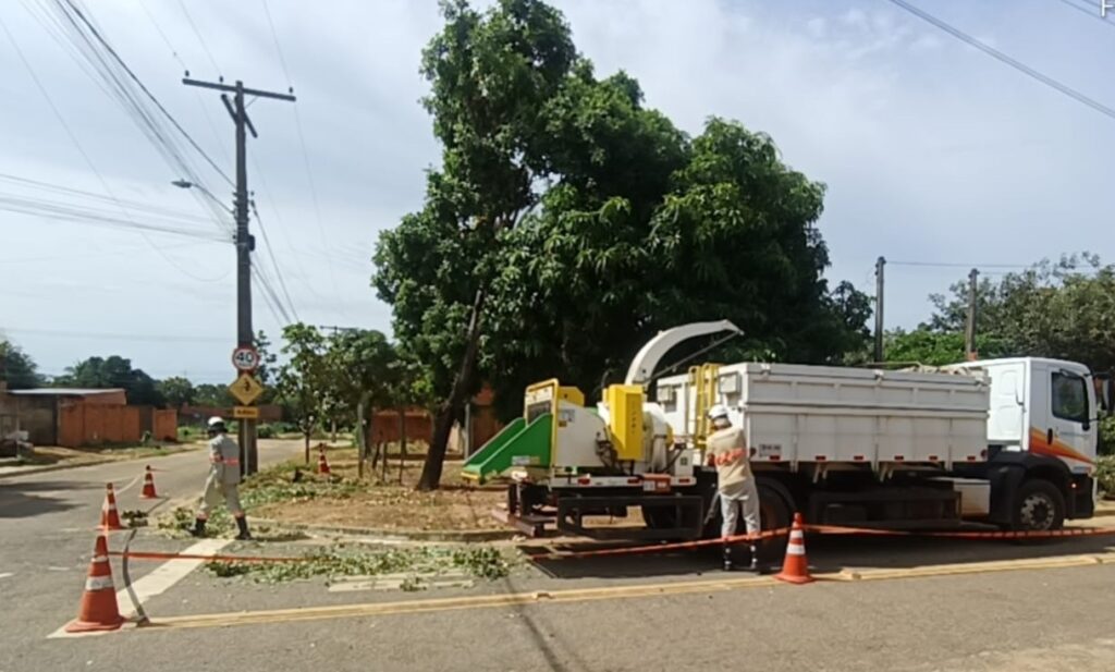apos-vendaval,-prefeitura-de-palmas-retira-mais-de-250-toneladas-de-galhadas-do-jardim-taquari