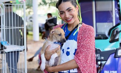 prefeitura-de-palmas-promove-evento-de-adocao-de-caes-e-gatos-no-capim-dourado-shopping