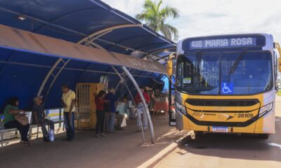 prefeitura-de-palmas-altera-itinerario-da-linha-480-no-setor-maria-rosa