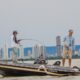 praia-da-graciosa-recebe-torneio-de-pesca-esportiva-a-partir-desta-sexta-feira,-10