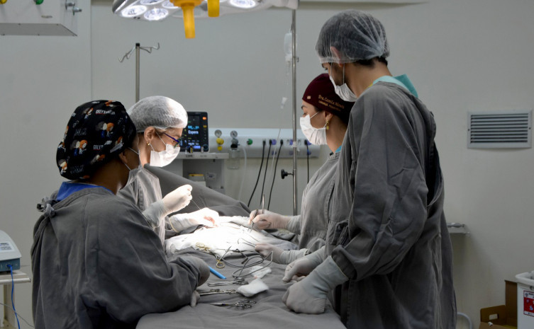 mutirao-no-hgp-realiza-20-cirurgias-pediatricas-em-dois-dias-e-acelera-fila-do-sus