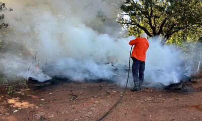 defesa-civil-atende-ocorrencias-de-incendio-em-lixo-e-entulho-e-reforca-alerta-em-palmas