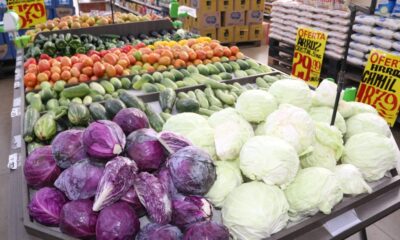 prefeitura-de-palmas-paga-auxilio-alimentacao-a-mais-de-12-mil-servidores-nesta-sexta-feira,-8