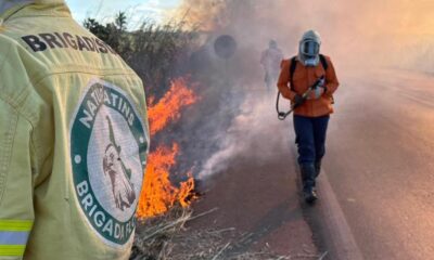 defesa-civil-instrui-equipes-sobre-manejo-integrado-do-fogo-para-acoes-preventivas