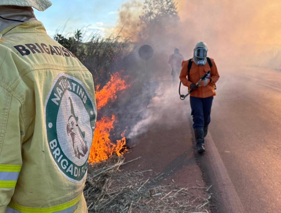 defesa-civil-instrui-equipes-sobre-manejo-integrado-do-fogo-para-acoes-preventivas