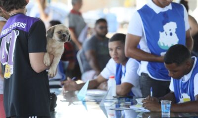 prefeitura-de-palmas-realiza-nova-edicao-do-palmas-cuida-+-com-atendimento-gratuito-para-350-caes