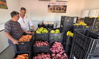 prefeitura-distribuira-mais-460-cestas-pelo-programa-de-aquisicao-de-alimentos