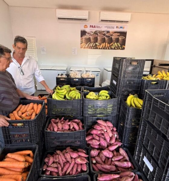 prefeitura-distribuira-mais-460-cestas-pelo-programa-de-aquisicao-de-alimentos