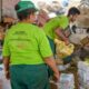 criado-pela-prefeitura-de-palmas,-programa-bolsa-catador-vira-lei