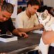 mutirao-de-castracao-entra-nas-ultimas-vagas-de-agendamentos-em-palmas