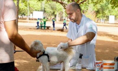 prefeitura-continua-oferecendo-vacina-antirrabica-gratuita-na-capital