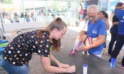 prefeitura-de-palmas-amplia-horarios-para-castracao-aos-fins-de-semana-na-regiao-de-taquaralto